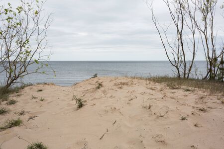 City Carnikava, Latvia. Walking place by the Baltic Sea with sand and trees.03.06.2020の写真素材