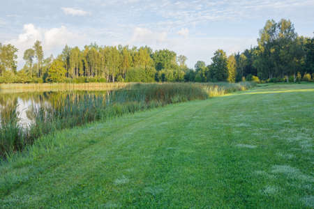 City Talsi, Latvia. Lake with water grass.の写真素材