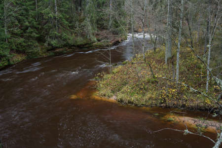 City Cesis, Latvia. Rapid river with stones and trees. Natural flora.Travel photo. 31.10.2020の写真素材