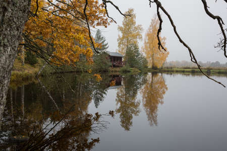 City Riga, Latvia. Lake in autumn with trees and grass. Natural flora.31.10.2020の写真素材