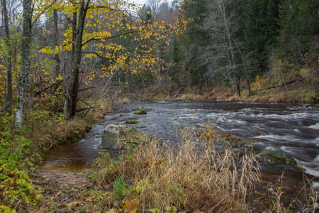 City Cesis, Latvia. Rapid river with stones and trees. Natural flora.Travel photo. 31.10.2020の写真素材