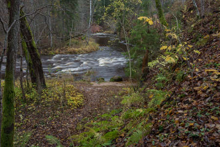 City Cesis, Latvia. Rapid river with stones and trees. Natural flora.Travel photo. 31.10.2020の写真素材