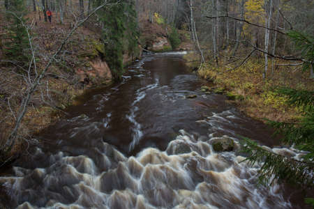 City Cesis, Latvia. Rapid river with stones and trees. Natural flora.Travel photo. 31.10.2020の写真素材