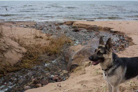 City Tuja, Latvia.Beach with stones and sand.Travel photo.の写真素材