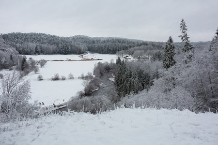 City Cesis, Latvia. Red sand rocks and snow in winter.Travel photo.26.12.2020の写真素材