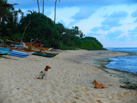 Beachのeditorial素材