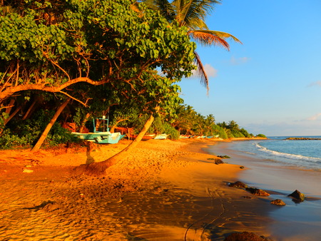 Beachのeditorial素材