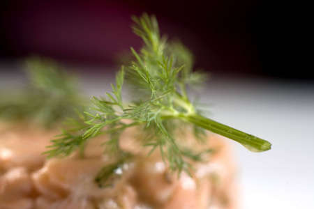 salmon pate to restaurantの写真素材