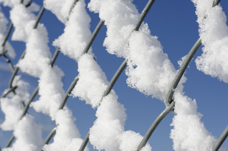 Fresh Snow On The Fence