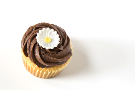 Chocolate cupcake with white flowerの写真素材