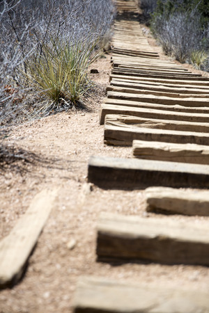 The steps of Manitou Inclineの写真素材