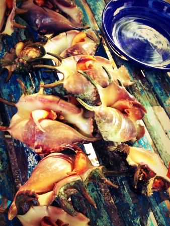 Food - Seashell Cebu yummyの素材