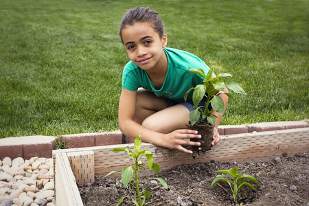 African American Girl Planting a new Plantの写真素材