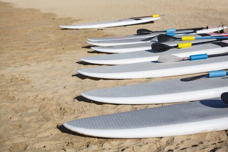 Row of stand up paddle boards resting on the beach ready to rent. SUPs all in a row ready for the oceanの写真素材