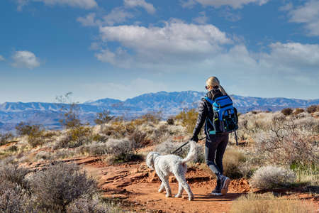 Woman hiking with her dog in the rocky Mountains. View from behind lots of scenic natural copy space. Active, fit female lifestyleの写真素材