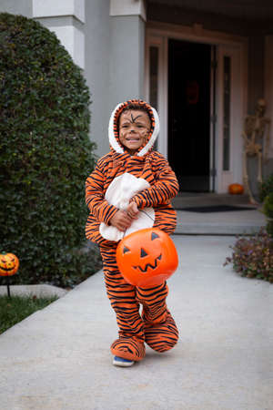 Young diverse child dressed in his Halloween costume outdoors trick or treating. Cute boy in a tiger costumeの写真素材