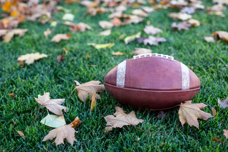 Fall season football background image. The perfect symbols of Autumn, fallen leaves and American Football. The ball sitting on the grass on a crisp fall dayの写真素材