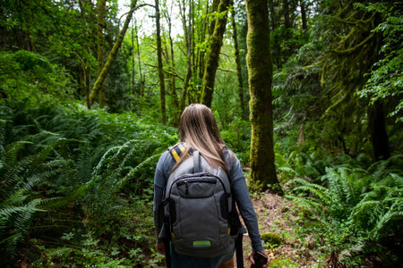 Female Hiker walking through a lush wooded forest in the beautiful Pacific Northwest. Outdoor...