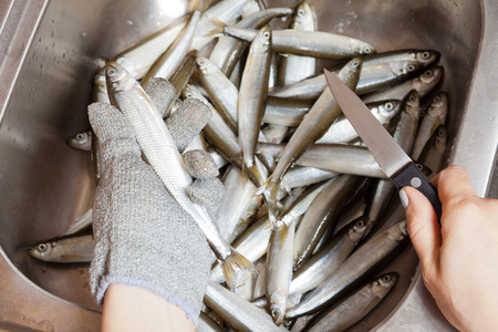Fresh fish in a sink will be cleaned soonの写真素材