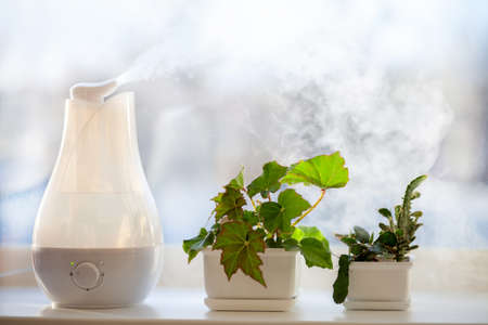 Humidifier spreading steam into the living room
