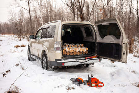 Khabarovsk, Russia - January 7, 2021: Mitsubishi Pajero/Montero in winter forest with firewood in the trunk.のeditorial素材