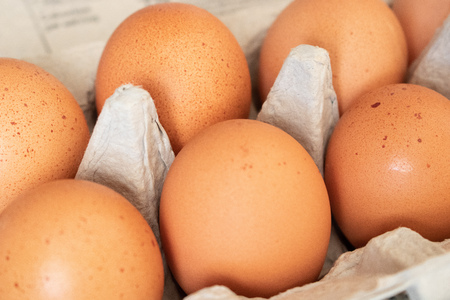 Organic Brown Eggs in Carton