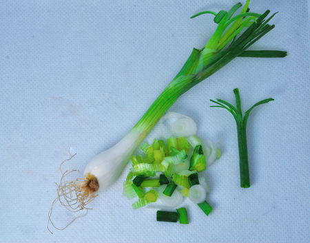 freshScallion on a white background