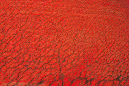 The patterned surface of the cracked canvas is a beautiful pattern from the sun to rain and use for a long time.の写真素材