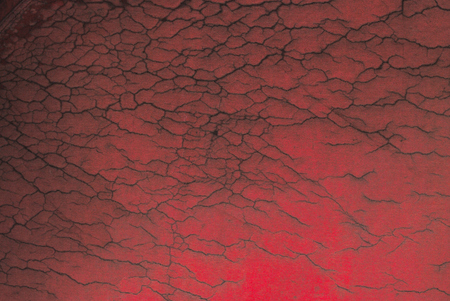 Tents that spread in the sun until deterioratedの写真素材