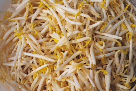Clean Bean sprouts in containers for eating with noodles.の写真素材