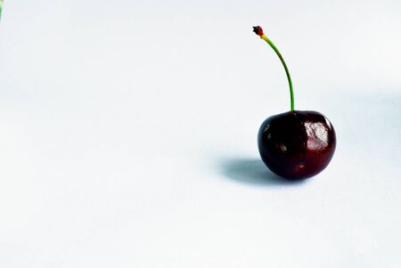 Red cherries isolate on white backgroundの写真素材