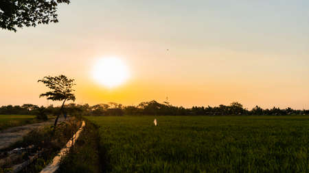 stairway to heavenの写真素材