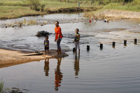 Family swimの写真素材