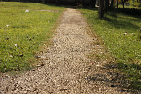 Walkway in the gardenの写真素材