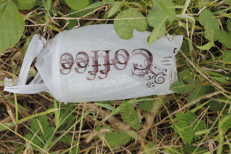 Coffee cup on the grassの写真素材