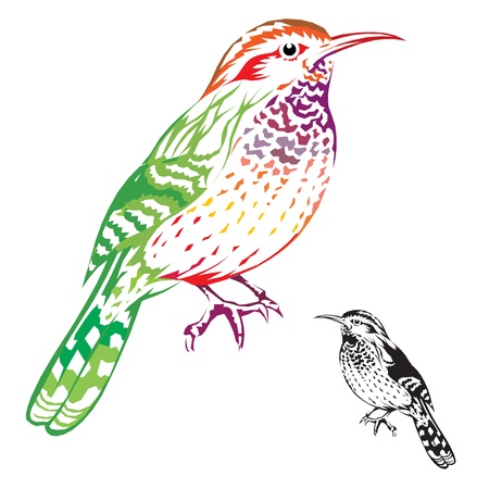 birdのイラスト素材