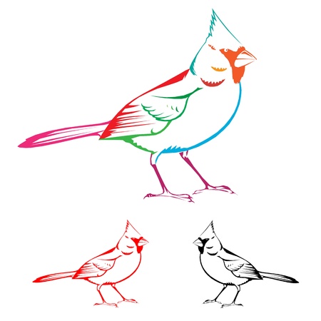 birdのイラスト素材