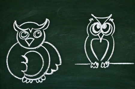 Drawing of the owl on a school blackboardの写真素材