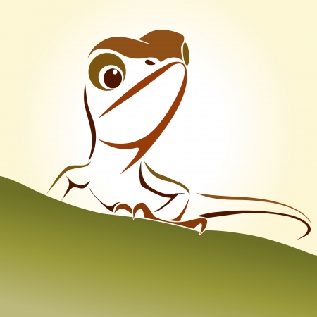 Lizard のイラスト素材