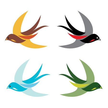 Four colorful birds in flight on white background - vectorのイラスト素材