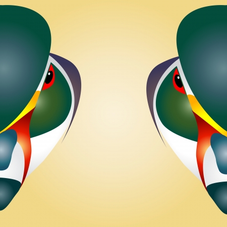 Head of mandarin duck beautifully designed half  のイラスト素材