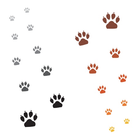 Illustration animals paws print on a white backgroundのイラスト素材