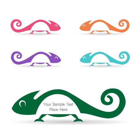 The design of the chameleon illustrationのイラスト素材