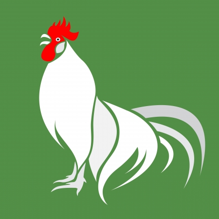 Vector image of an cock on green background のイラスト素材