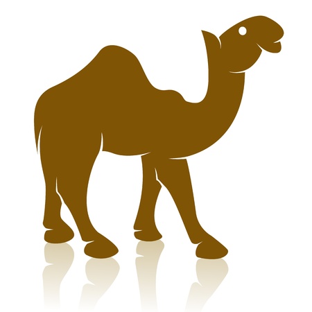 image of an camel on white background のイラスト素材