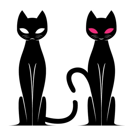 Vector image of an cat on white background のイラスト素材