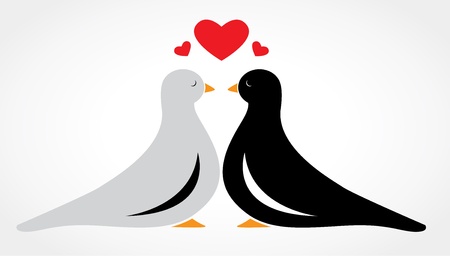 A couple bird falling in love on white backgroundのイラスト素材