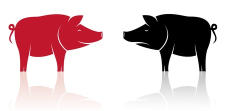 Vector image of an pig on white backgroundのイラスト素材