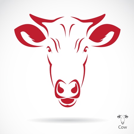 Vector image of an cow head , illustration - vectorのイラスト素材