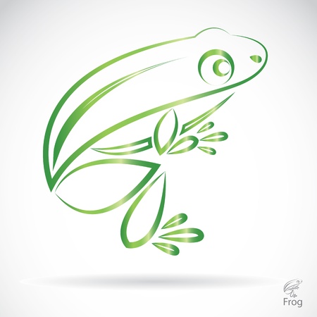 image of an frog on a white backgroundのイラスト素材